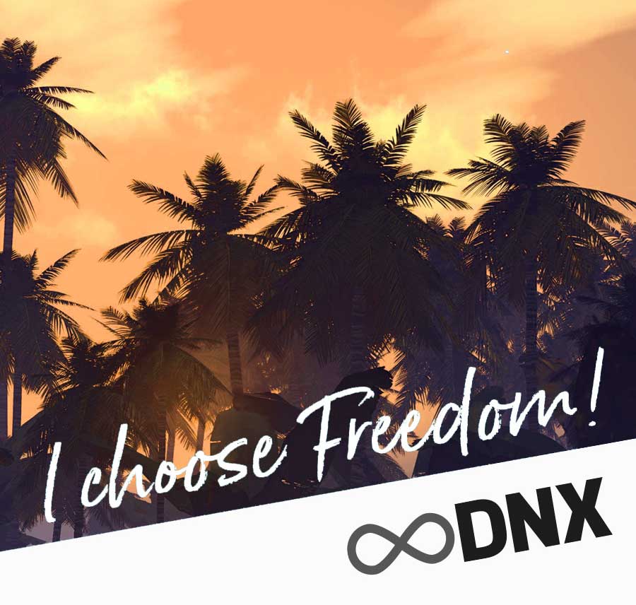 DNX – DIGITAL NOMAD EXPERIENCE
